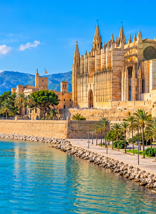 Palma